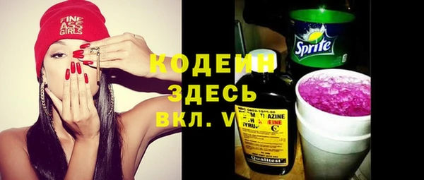 mdpv Бородино