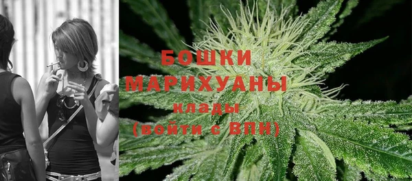 трава Ахтубинск
