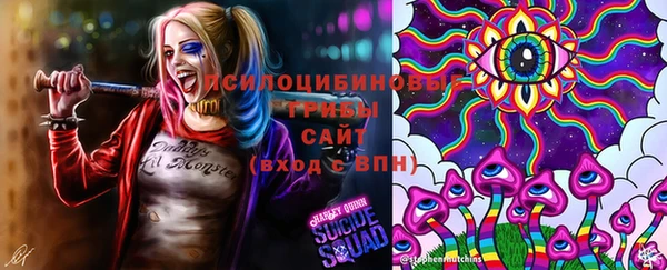 спайс Богданович