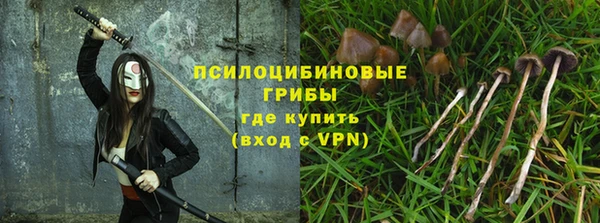 mdpv Бородино