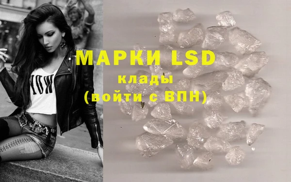 спайс Богданович