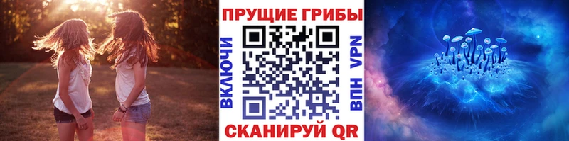 Галлюциногенные грибы Cubensis  Верхняя Тура 